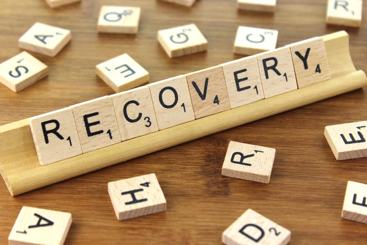 Learning Loss and Recovery Curricula: what we can learn from other ...
